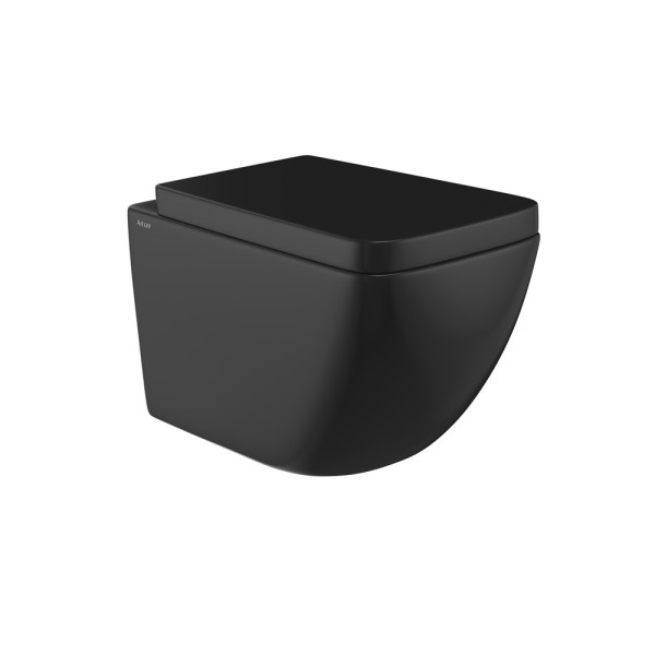 Rimless Wall Hung WC
