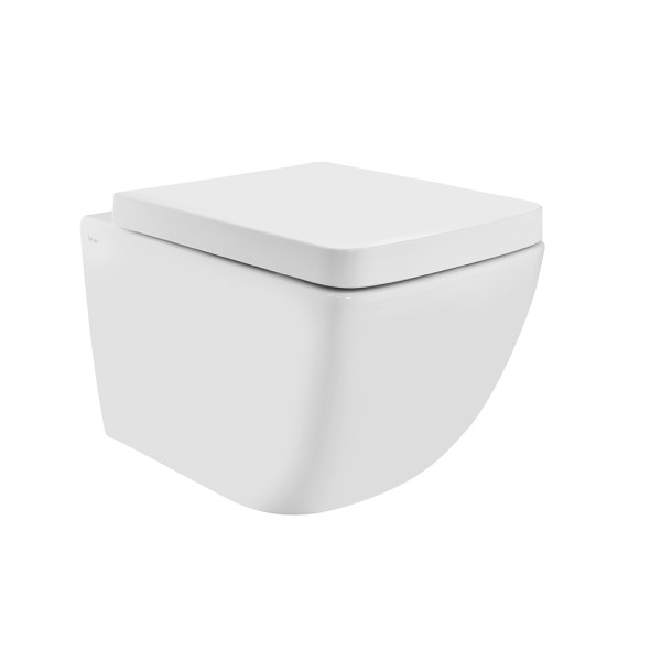 Rimless Wall Hung WC